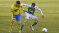 fotbal jb plestil teplice